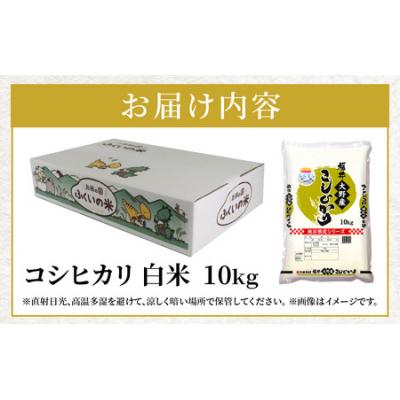 ふるさと納税 大野市 【令和7年産】大野産コシヒカリ(白米)10kg【大野ブランド米 名水育ち】 |  | 03