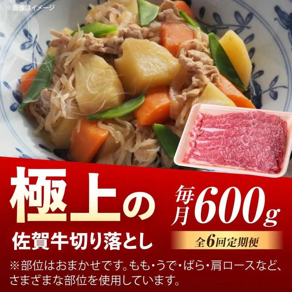 【6回定期便】 佐賀牛 切り落とし 600g 牛切落し [UEM032]