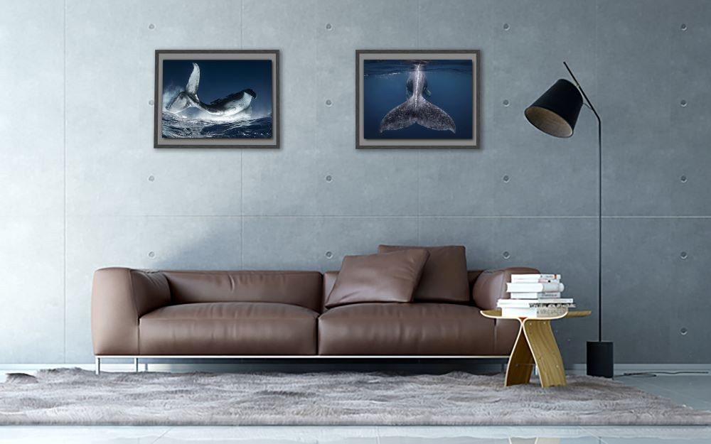 
            水中写真家／高橋怜子　海の絶景 写真 浮かし額装 ※直筆サイン入り 高橋怜子 海の絶景 ナショナル ジオグラフィック写真コンテスト 総合グランプリ受賞 壁掛け フォト インテリア 高額返礼品  Reiko Takahashi photography  海 写真作品 水中 世界 海洋 写真ギフト 写真パネル プレゼント
岩手県 北上市 （U0063） おしゃれ　オフィス カフェ リビング
          