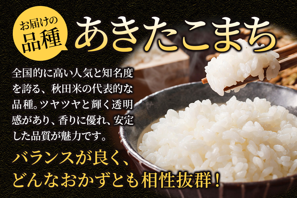 米 令和7年産《定期便6ヶ月》【白米】米どころ秋田県大仙市産 あきたこまち 精米 10kg（5kg×2袋）