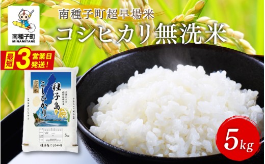 《令和8年産米 新米》種子島産コシヒカリ 5kg 無洗米 お米 こめ コメ 精米 白米 コシヒカリ こしひかり 食品 グルメ お取り寄せ おすそわけ 人気 おすすめ ギフト 南種子町 鹿児島 かごしま 【有限会社新栄物産】