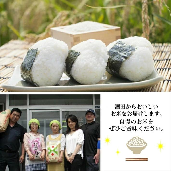 SI0038　【6回定期便】特別栽培米 つや姫　5kg×6回(計30kg) AB