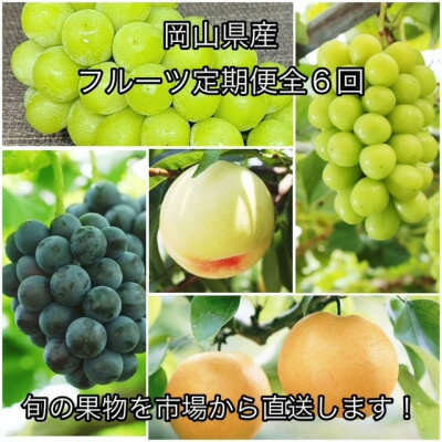 【ふるさと納税】【発送月固定定期便】岡山県産 フルーツ定期便全6回【配送不可地域：離島】【4078581】