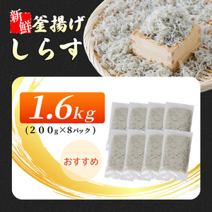 【しらす】釜揚げしらす 1.6kg ( 200g × 8パック ) 愛媛県松山市【IY0021】