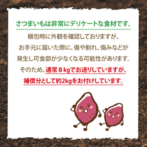 訳あり さつまいも 10kg 生いも 普通栽培 紅はるか さつまいも
