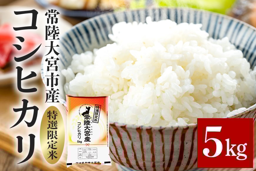 
                  常陸大宮産 コシヒカリ 5kg 米 お米 こめ コメ コシヒカリ こしひかり 茨城 ブランド米 白米 精米 ご飯 国産米 贈答用  【一般財団法人常陸大宮市観光物産協会】【ho1396】
                