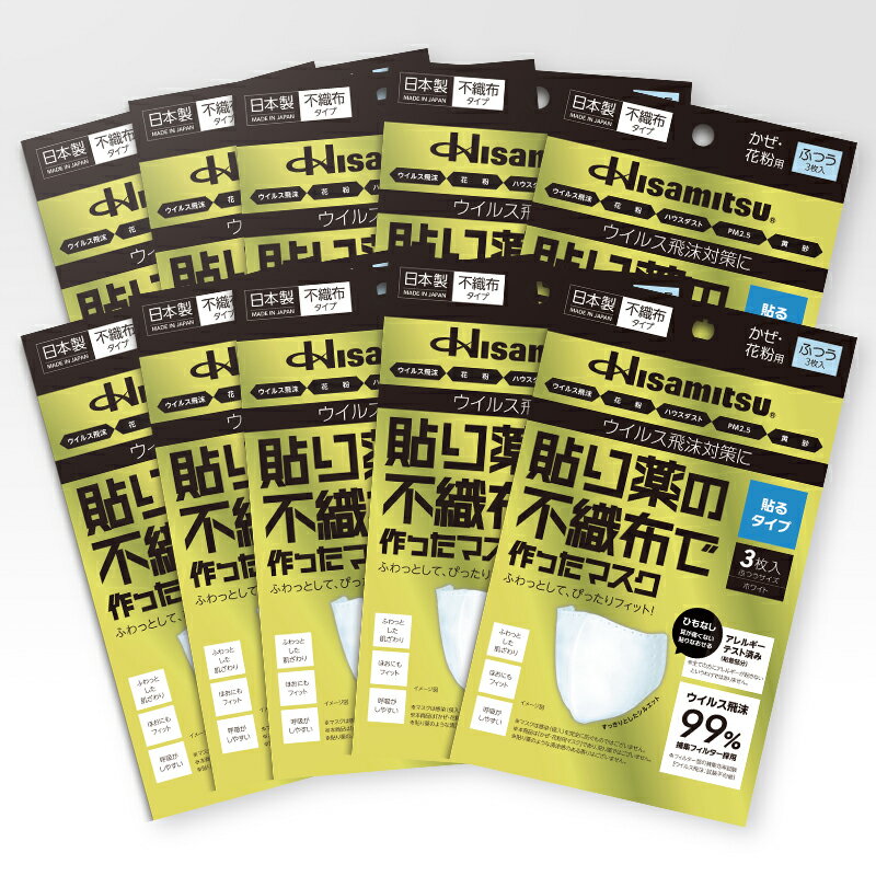 【ふるさと納税】貼り薬の不織布で作ったマスク（貼るタイプ）ふつうサイズ 10個セット / マスク