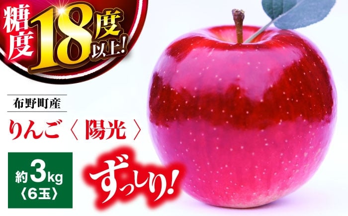 
            【先行予約】【10月中旬から11月上旬順次発送】 リンゴ 布野町産 りんご （ 陽光 ） 6個セット 期間限定 フルーツ 果物 林檎 希少 三次市 / フルーツランドふの [APDD001]
          
