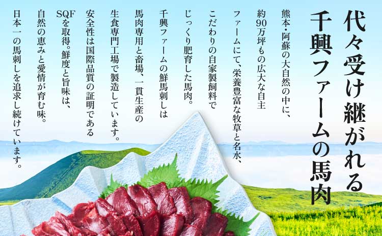 馬刺し 赤身 国産赤身馬刺し 400g 馬肉 赤身 ブロック 馬刺し専用たれ付 馬刺 ばさし 新鮮 低脂肪 高たんぱく低カロリー 小分け 低脂質 赤身肉 肉 赤身 国産 冷凍 ヘルシー 食べきりサイズ