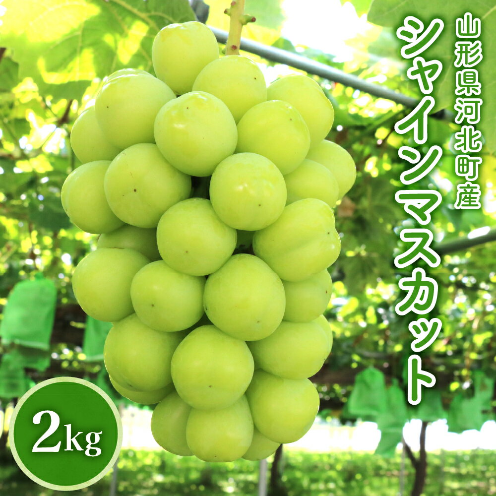 【ふるさと納税】シャインマスカット 2kg | ぶどう 葡萄 フルーツ 果物 人気 おすすめ マスカット 産地直送 山形県 河北町