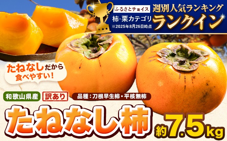 
            和歌山県産 訳あり たねなし柿（刀根早生柿・平核無柿）約7.5kg 《2025年9月中旬-11月上旬頃出荷(土日祝除く)》 和歌山県 岩出市 訳あり ご家庭用 種なし柿 柿 果物 フルーツ カキ st-p
          