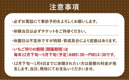 いちご狩り 40分食べ放題 ペア参加券  いちご 苺 いちご狩り 食べ放題 愛西市 / 有限会社マロンライフ[AEBN001]