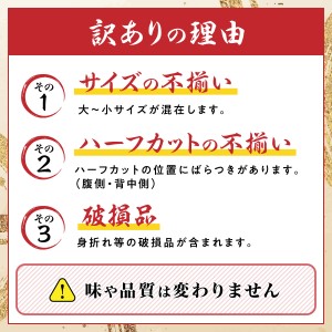 訳あり 冷凍 ボイル ずわいがに 足 600g ズワイガニ　ハーフポーション