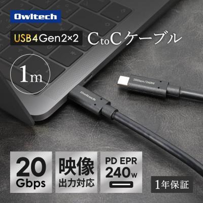 ふるさと納税 海老名市 最大20Gbps/PD240W充電 USB Type-C to USB Type-Cケーブル 1m