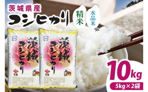 【数量限定】【令和7年産】茨城県産コシヒカリ 10kg(5kg×2袋) 【お米 ごはん こしひかり  おにぎり ごはん 茨城県 水戸市】(NQ-2)