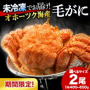 【ふるさと納税】【期間限定】北海道産 毛がに 2尾 選べるサイズ1尾400g～650g【株式会社シーグレイセス】浜頓別 塩茹で カニ毛蟹 ボイル チルド 冷蔵 未冷凍 北海道ふるさと納税 ふるさと納税 北海道 浜頓別 通販 贈答品 贈り物