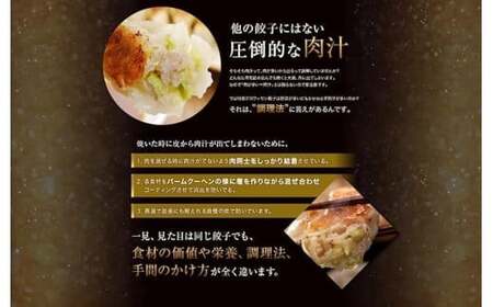 クロワッサン餃子2セット（生餃子48個入り×2・たれ2種×2）　※「ラヴィット！」でも紹介されました！