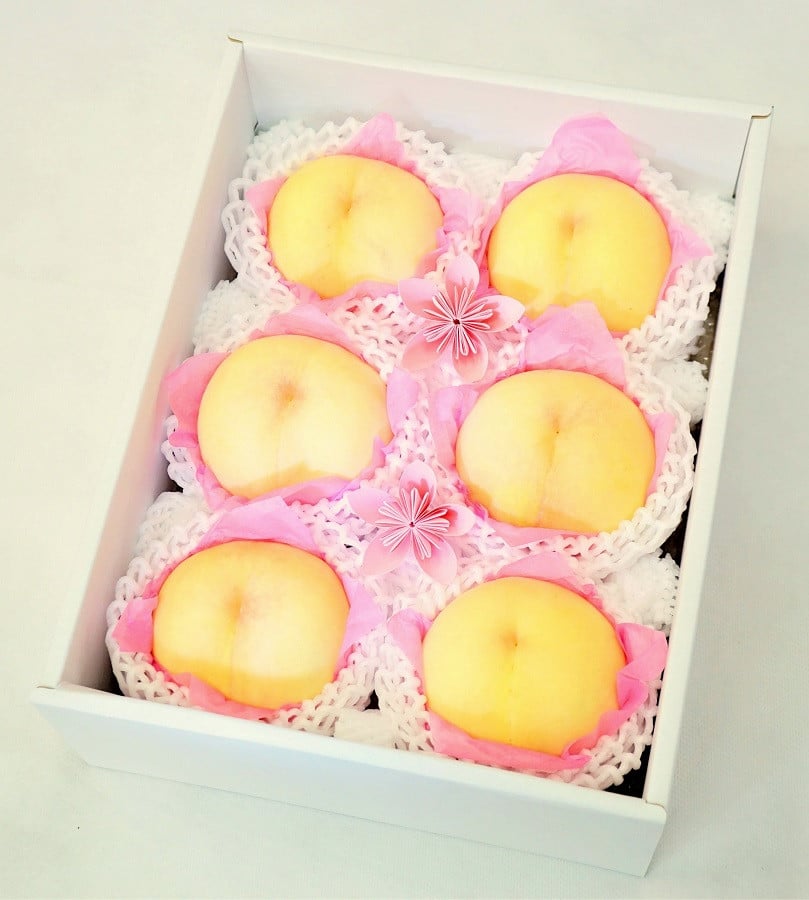 
                  樹熟し 白桃 2kg 糖度12度以上 _S89
                