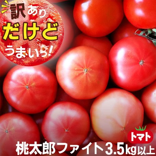 先行予約　高糖度　ももたろうトマト（春夏発送）　訳あり　3.5キロ以上　不揃い　桃太郎トマト　トマトスープ やトマト料理にたっぷり使える