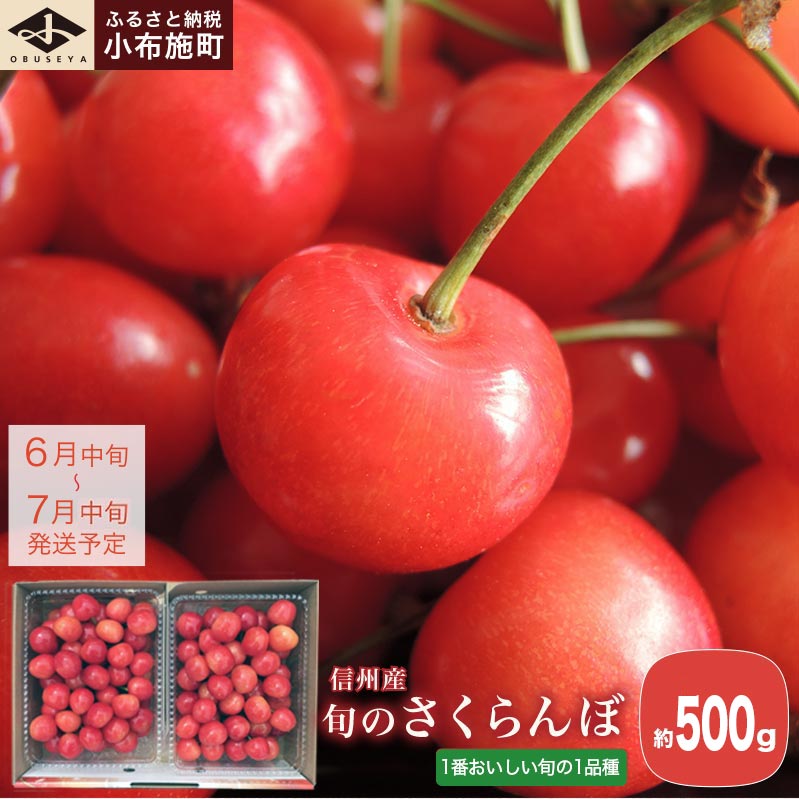 旬のさくらんぼ 約500g［小布施屋］ 佐藤錦、紅秀峰、紅佐藤、紅香、サミット くだもの 果物 サクランボ バラ詰め 令和8年 【2026年6月中旬～7月中旬発送】