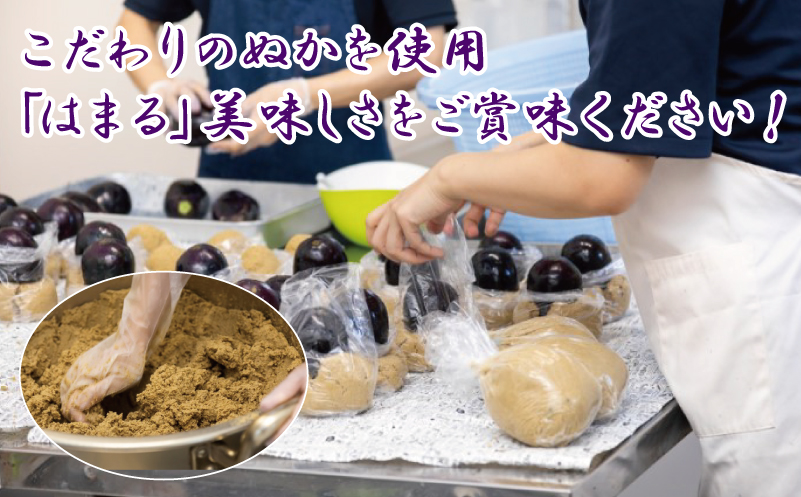 ねね屋の水なすぬか漬け 6個 099H2860