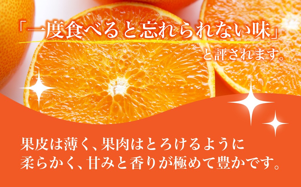 【先行予約】せとか レギュラー箱 2.5kg 柑橘 みかん ミカン 蜜柑 せとか 果物 フルーツ 国産 愛媛みかん 愛媛ミカン 国産フルーツ 愛媛県 上島町 JAおちいまばり