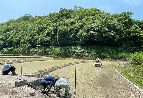 岡山県井原市産ヒノヒカリ精米15kg【2023年11月上旬より発送】