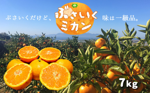 
                  ぶさいくミカン 7kg | フルーツ 果物 くだもの 柑橘 ミカン みかん 専用箱 熊本県 玉名市
                
