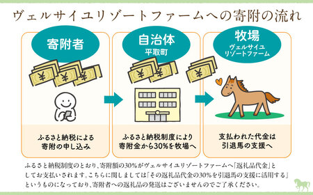 【1億円コース 返礼品無し】より多くの引退馬の幸せな余生を願う　Yogiboヴェルサイユリゾートファーム BRTV024-08