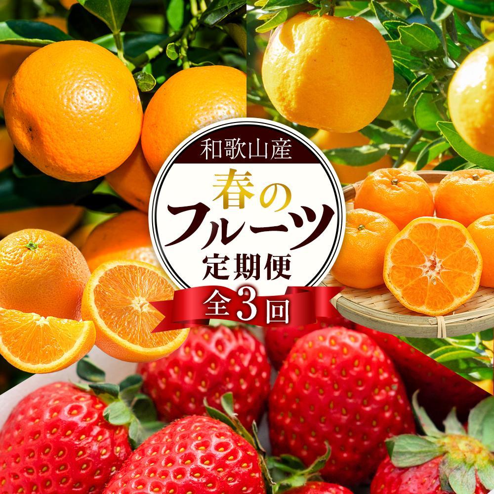 【ふるさと納税】定期便全3回 【2月・3月・4月発送】 和歌山の春のフルーツ （ポンカン・清見オレンジ・まりひめ）【TM174】 | フルーツ 果物 くだもの 食品 人気 おすすめ 送料無料