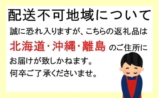 先行予約 すもも（ソルダム）2kg ※6月中旬～7月中旬頃に順次発送予定【期間限定・数量限定・2026/6/20まで】 / スモモ お取り寄せ 期間限定 夏 フルーツ 果物 和歌山県 田辺市【mtm0