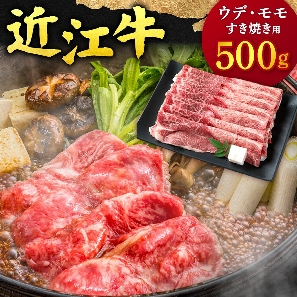 【ふるさと納税】近江牛　ウデ・モモ　すき焼き用　500g 牛肉 美味しい ブランド牛 高級 人気 国産 楽天 寄付 返礼品 お歳暮 ギフト プレゼント お祝い 贈り物 ふるさと納税 近江 東近江 B-C08 本多商店