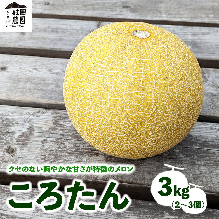 【ふるさと納税】【先行予約】「ころたん」メロン 3kg 2〜3個 ※2026年8月～発送