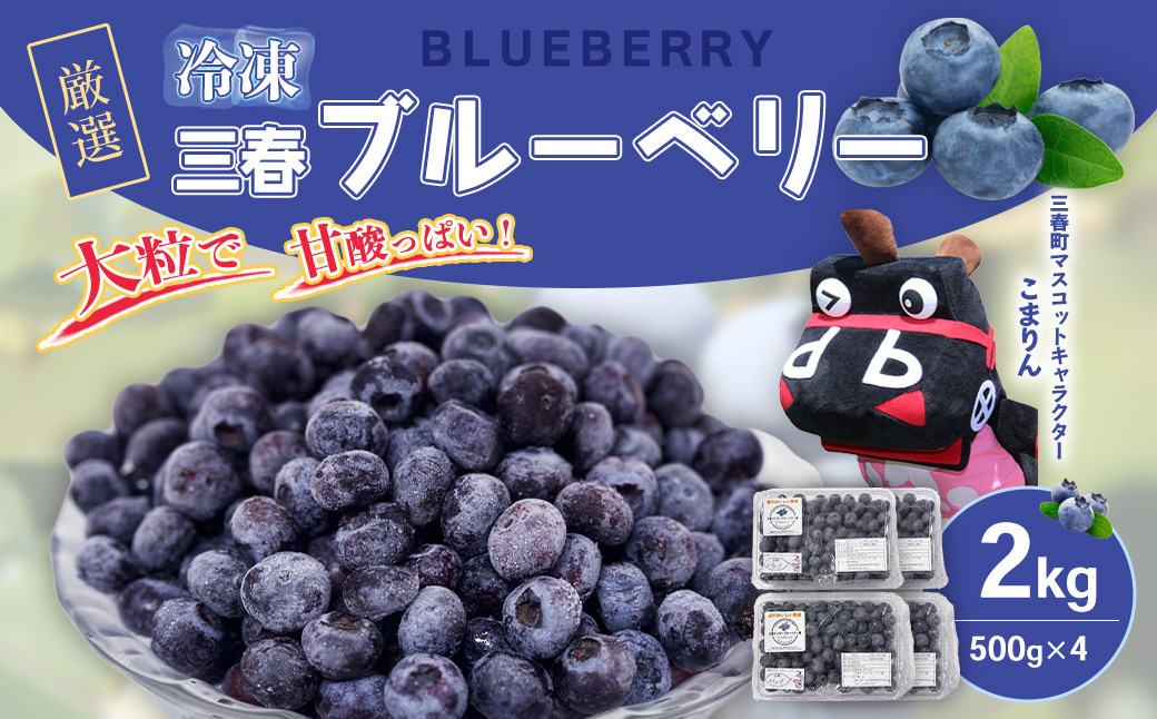 
                  三春冷凍ブルーベリー 500g×4パック／計2kg 【三春町産 冷凍ブルーベリー 大粒 福島県 三春町 三春ブルーベリー倶楽部 有機質肥料 果物 国産 フルーツ 果実 旬 お中元 夏 ギフト プレゼント 贈り物 贈答】【07521-0108】
                