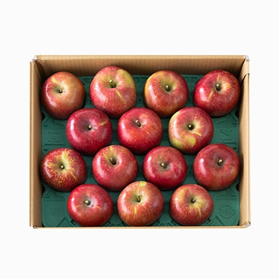 【贈答用】サンふじりんご　5kg 