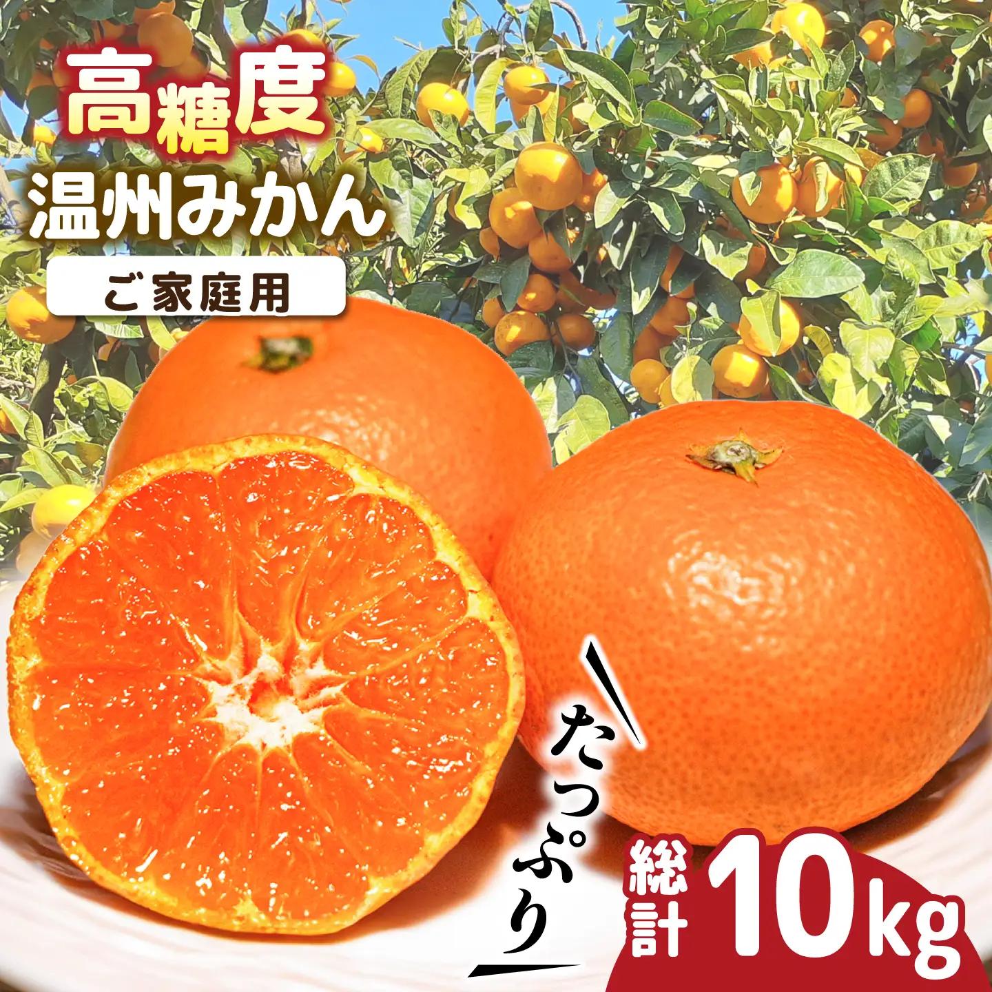 【2026年11月下旬-発送】温州みかん 約10kg [SCV012] みかん