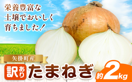 矢掛町産 訳あり 玉ねぎ 約2kg 《5月末～7月中旬頃に出荷予定》 約 2kg 野菜 岡山県 矢掛町 たまねぎ 大きさ不揃い 訳ありたまねぎ
