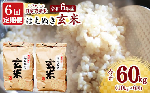 【令和6年産 先行予約】《6回定期便：選べる配送時期》 はえぬき 玄米 合計60kg （10kg（5kg×2袋）× 6回） 山形県産 【 減農薬栽培 新米 】 072-C-JF017-偶数月