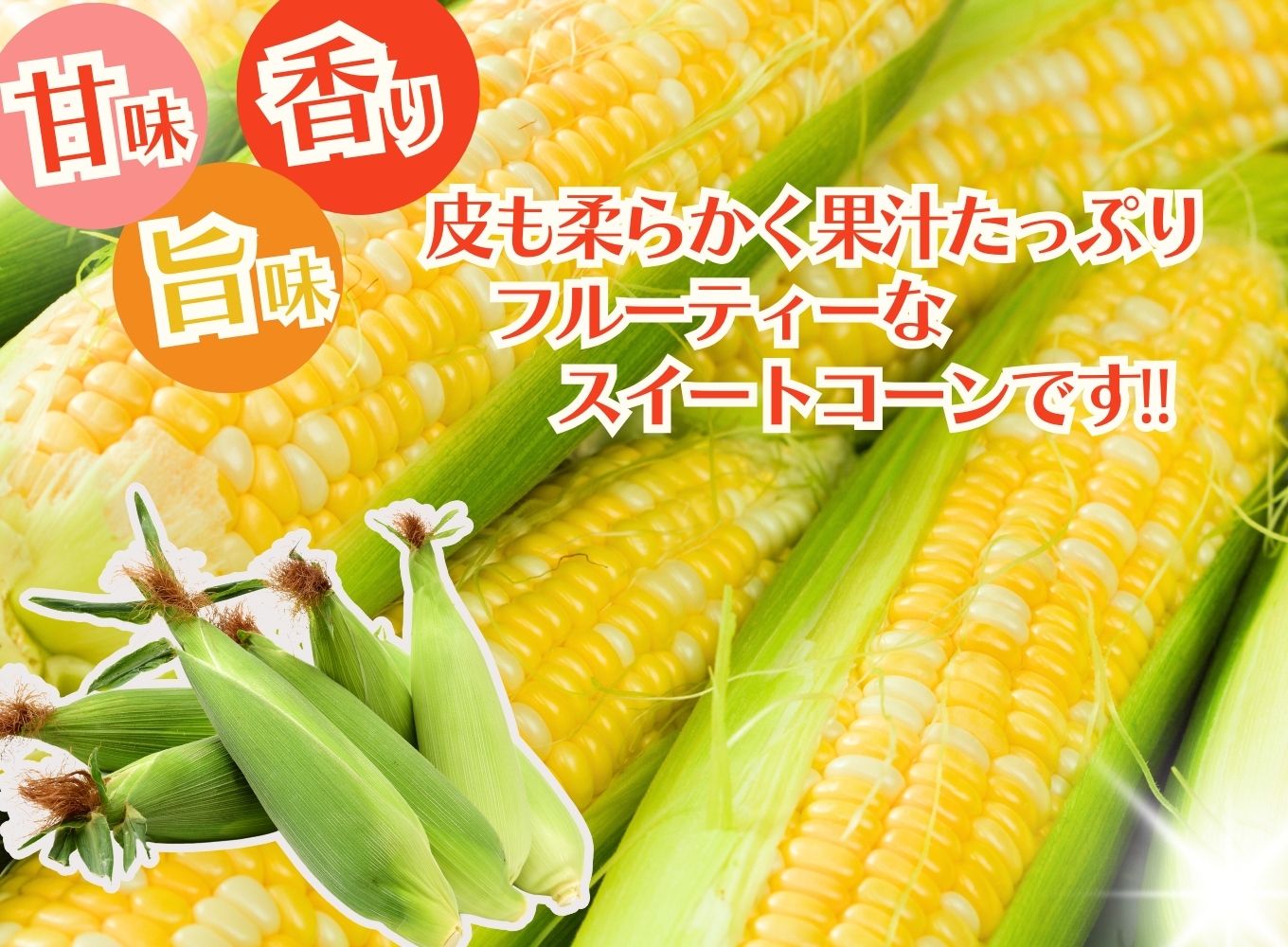 【2025年6月上旬から発送】ドルチェドリーム 4本入り REGALO（山梨県市川三郷町産） [5839-2227]