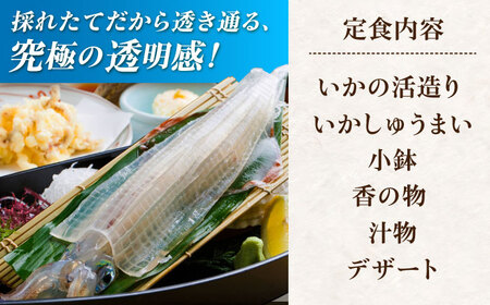 いか活造り定食お食事券（1名様分） / いか活造り 呼子イカ お食事券 / 佐賀県 / 河太郎呼子店[41ABAE002]