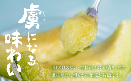 《先行予約》2027年　純系古田メロン2玉 メロン 石井農園