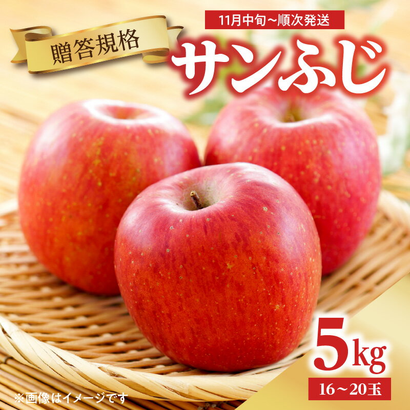 【ふるさと納税】《先行受付》【贈答規格】サンふじ 5kg（16玉～20玉）【2026年11月中旬頃～順次発送予定】りんご サンふじ 5キロ フルーツ 贈答