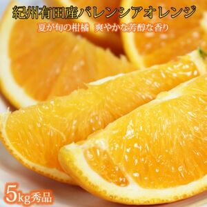 【2026年6月下旬頃発送】秀品　希少な国産バレンシアオレンジ　5kg【日高町】【配送不可地域：離島】【1216979】
