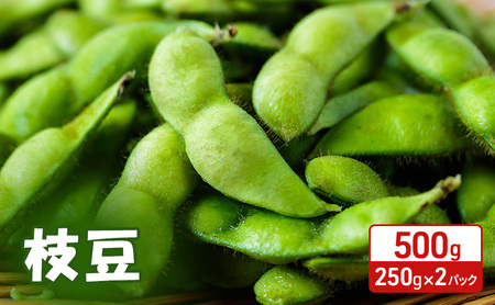 枝豆 秋田県産 枝豆【500g(250g×2)】【先行予約】