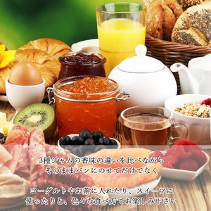 愛媛県産フルーツジャム（せとか・伊予柑）2種食べ比べセット（270g×6瓶） みきゃんの列車箱入り ギフトにも最適 愛媛果汁食品