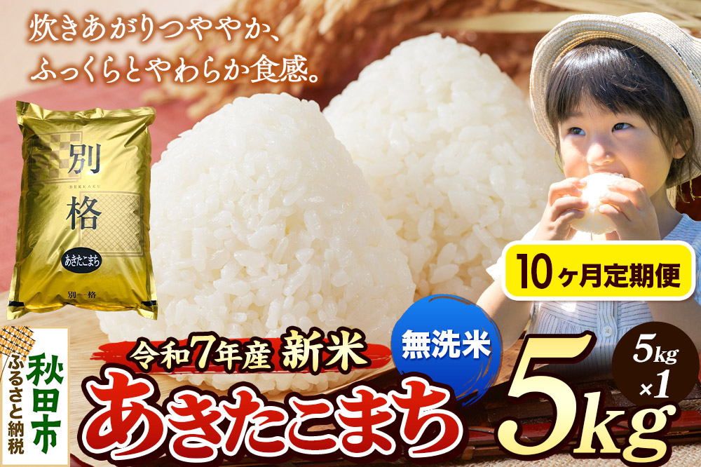 《令和7年産 新米》《定期便10ヶ月》 米 あきたこまち 5kg 【無洗米】 秋田県産