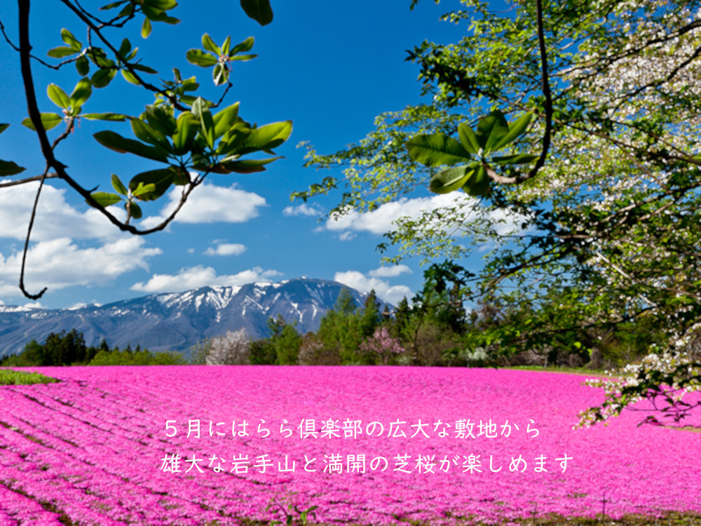 5月…花工房らら俱楽部は芝桜が見頃を迎えます