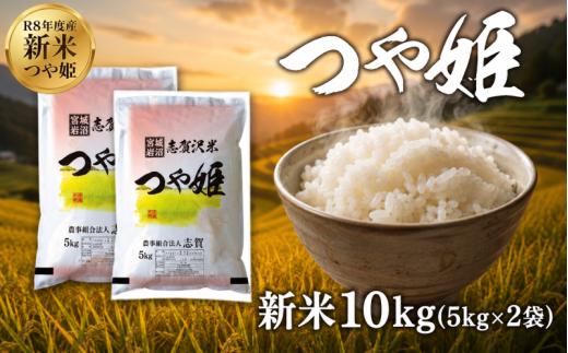 【 令和8年産 】新米 つや姫 10kg おこめ お米 白米 精米 コメ ライス ごはん ご飯 国産米 ブランド米 特A ツヤ もちもち 高級 おべんとう 弁当 おにぎり 甘み コク 食味 毎日の食卓 冷めてもおいしい 志賀沢米 岩沼産米