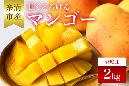 【先行予約 2027年 発送】かねよしマンゴーの甘くとろける マンゴー 2kg 家庭用 沖縄県産 アップルマンゴー アーウィンマンゴー 国産 完熟マンゴー 果物 南国 くだもの フルーツ 完熟 夏 旬 特産品 沖縄 お取り寄せ お土産 甘い 濃厚 糸満市 93-2