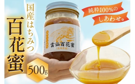 AJ445 はちみつ 国産 百花蜜 500g 1個 日本ミツバチ 純粋 100% [ 安中梅林を育てる会 蜂蜜 ハチミツ 非加熱 無添加 長崎県 島原市 ] 